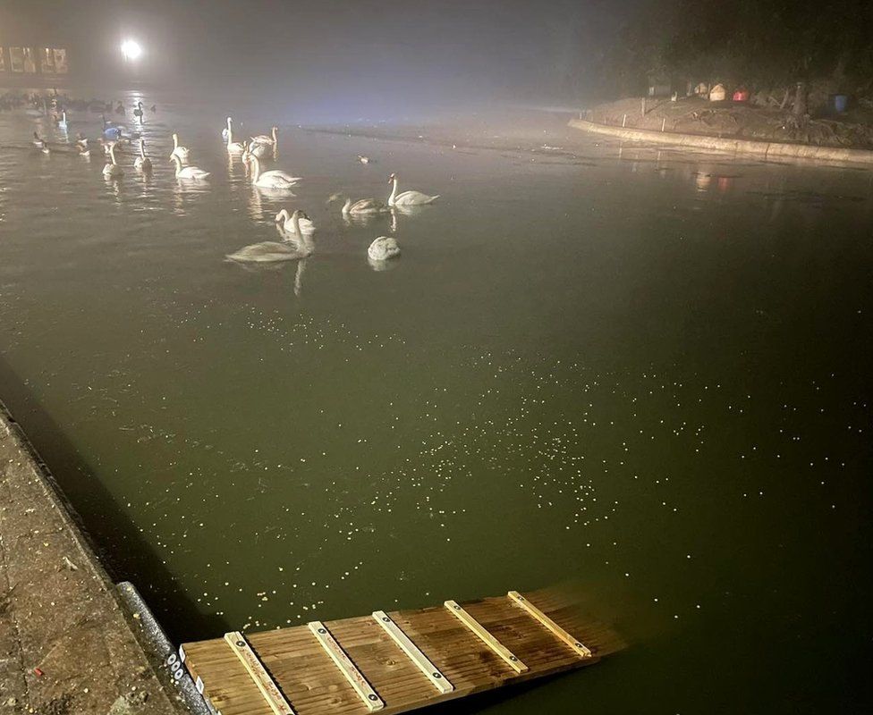 A ramp leading into a lake as birds swim in the icy water