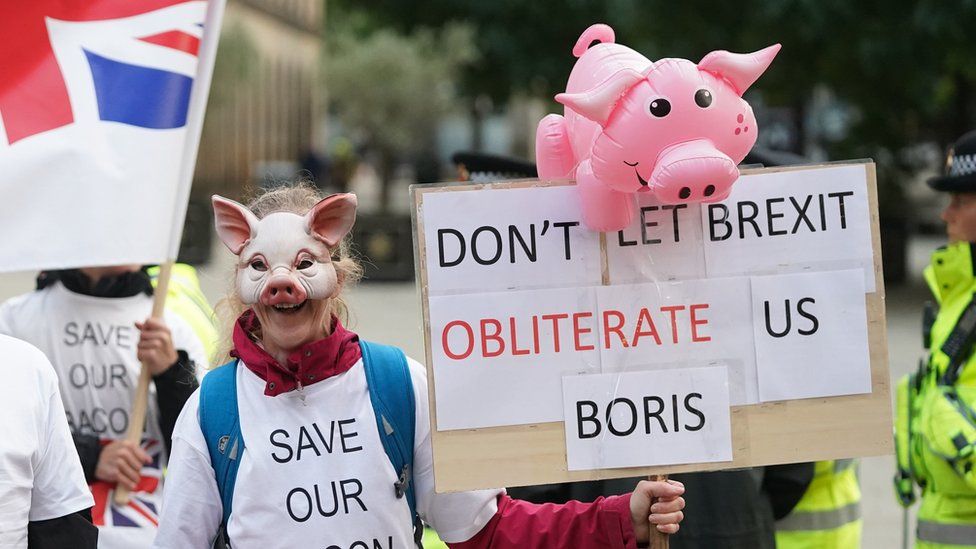 Pig protest