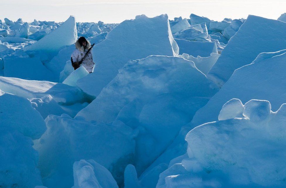 Keeping watch for polar bears