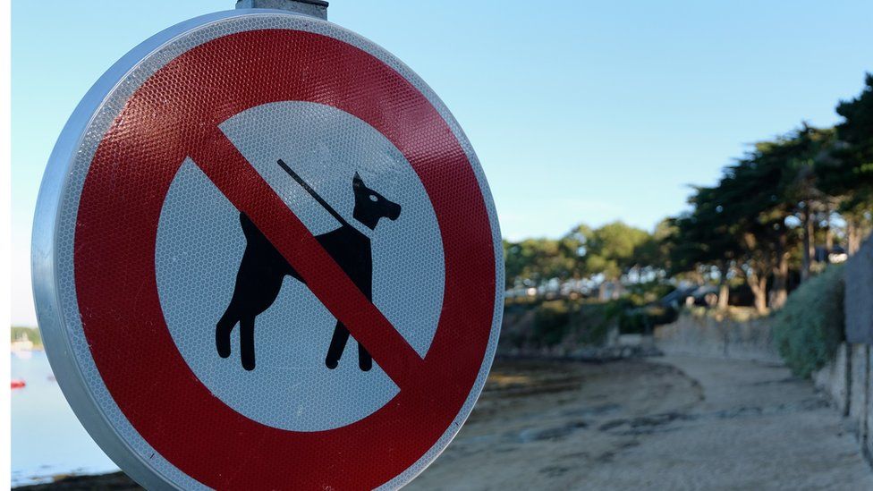 Знак, объявляющий о запрете собак на пляже