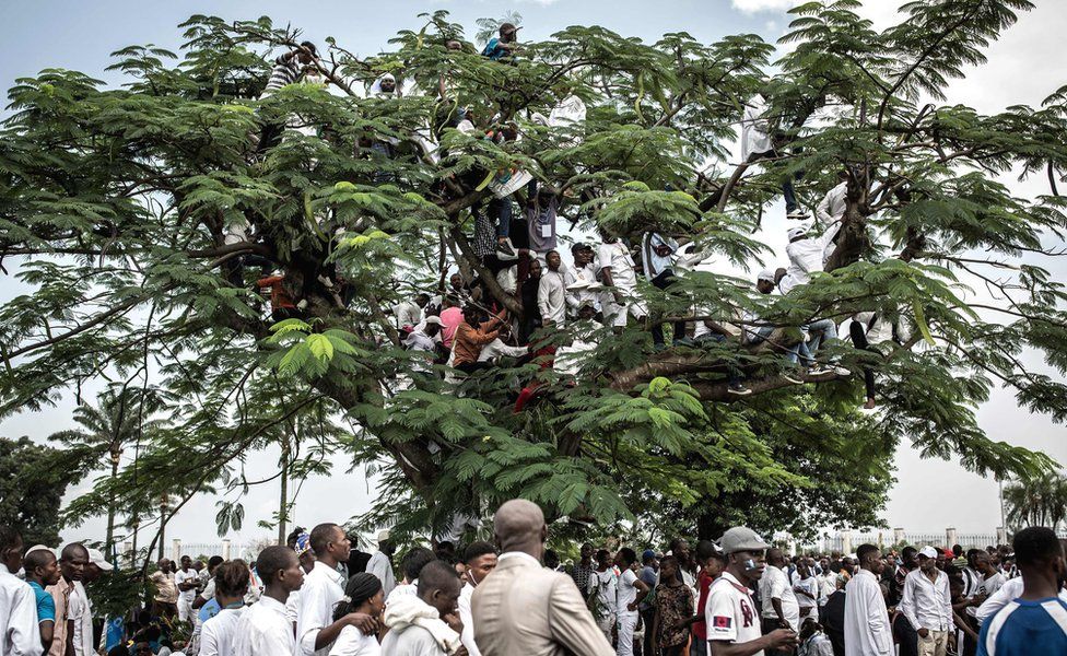 People on a tree in the grounds of the presidential palace in Kinshasa, DR Congo - 24 January 2019