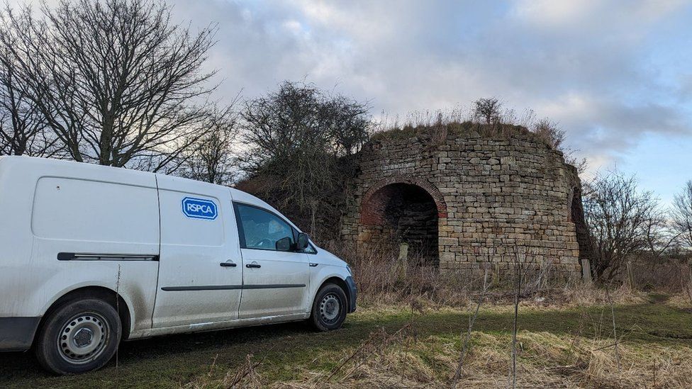 The RSPCA van parked next to an old lime kiln, which is a conical building about 10ft high