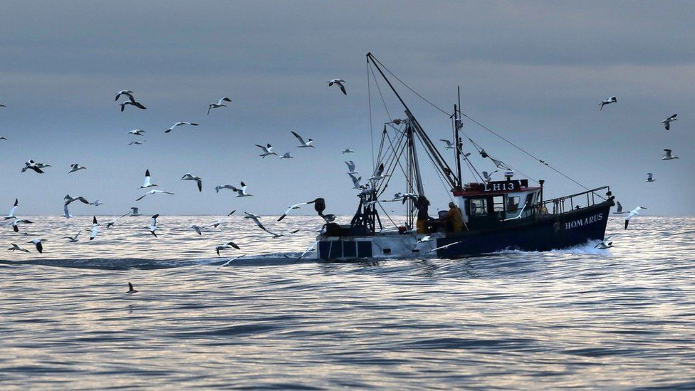Brexit: NI Fishermen 'short-changed' in fish quota - BBC News