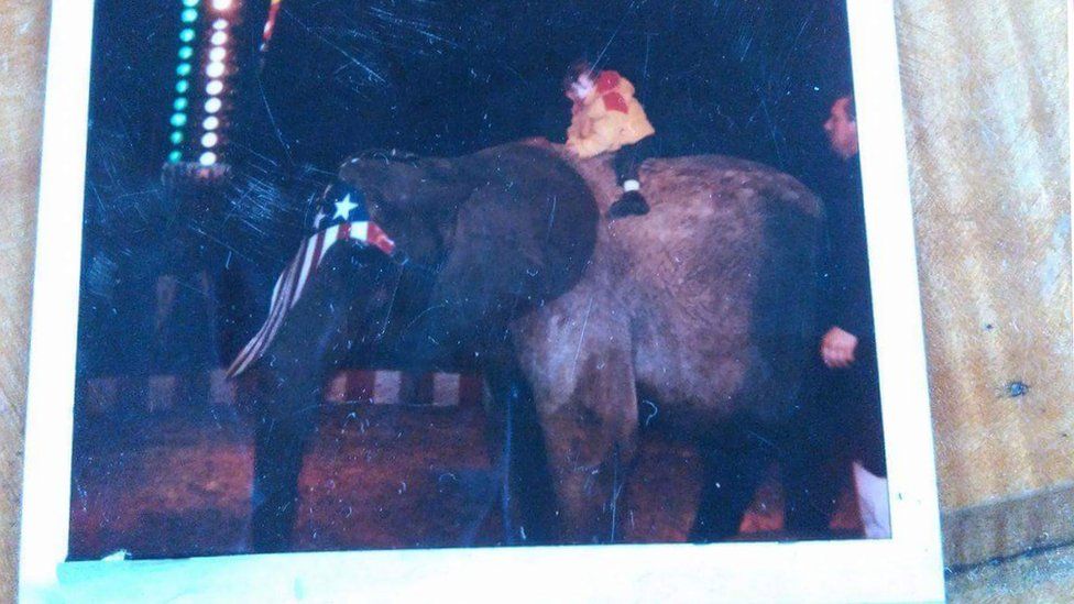 A young girl sitting on an elephant at a circus