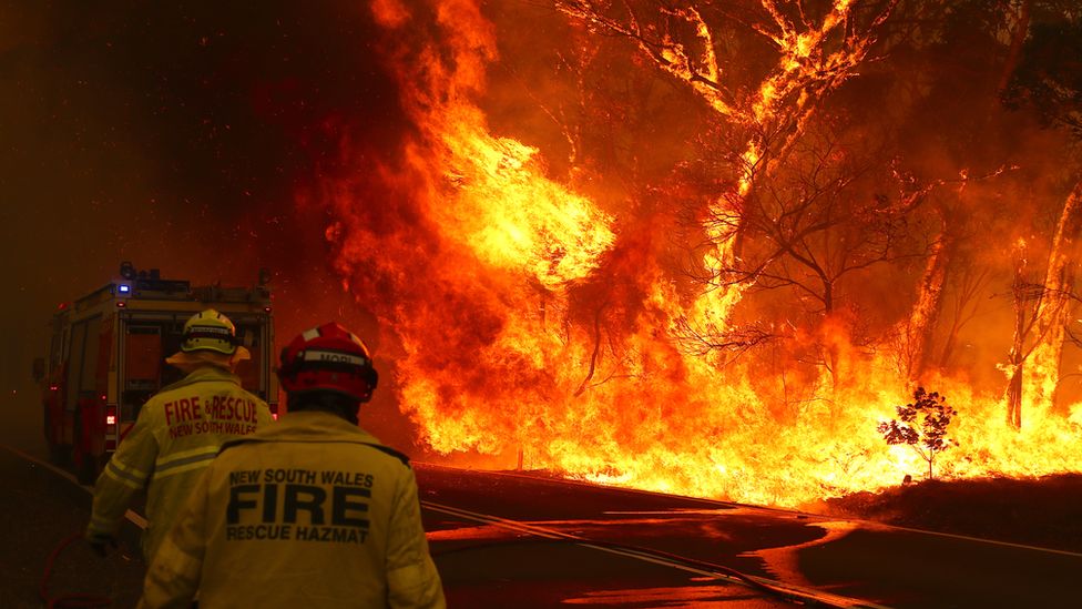 Пожарные борются с лесным пожаром