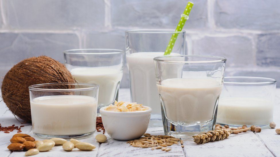 A selection of plant based milks