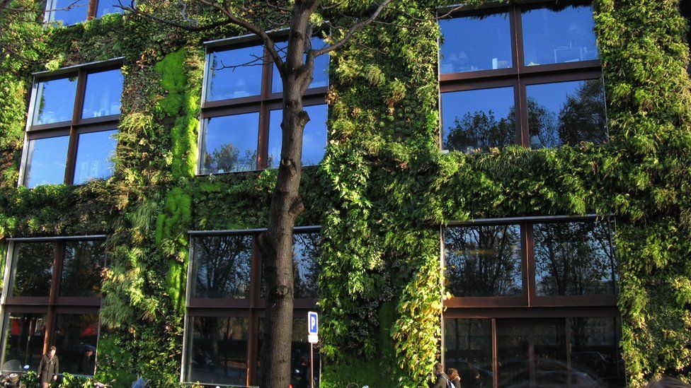 Living wall/vertical garden in Paris designed by Patrick Blanc