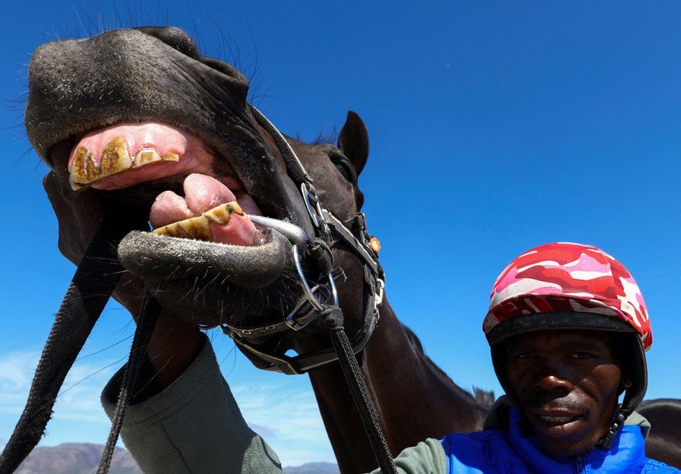A man in riding gear poses with a horse during a beach parade at Muizenberg beach, in Cape Town, South Africa.