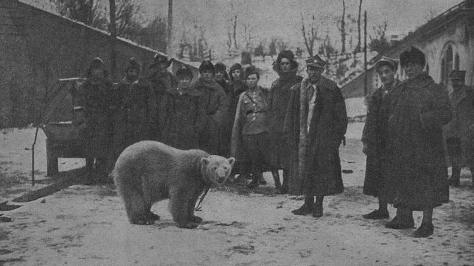 Polar bear Baśka and soldiers