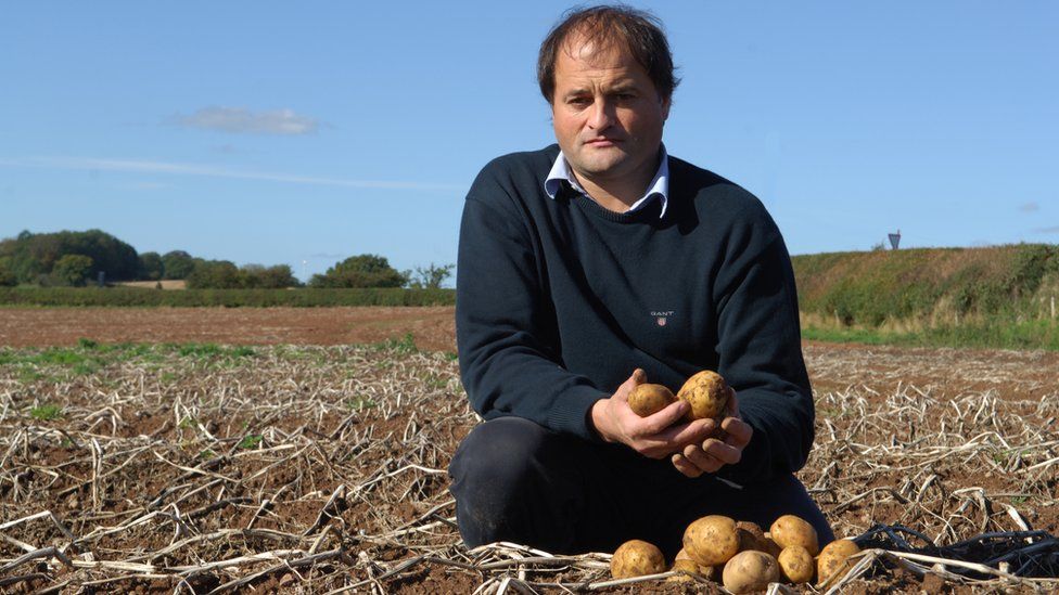 The potato farmer who swapped bankruptcy for making millions - BBC News