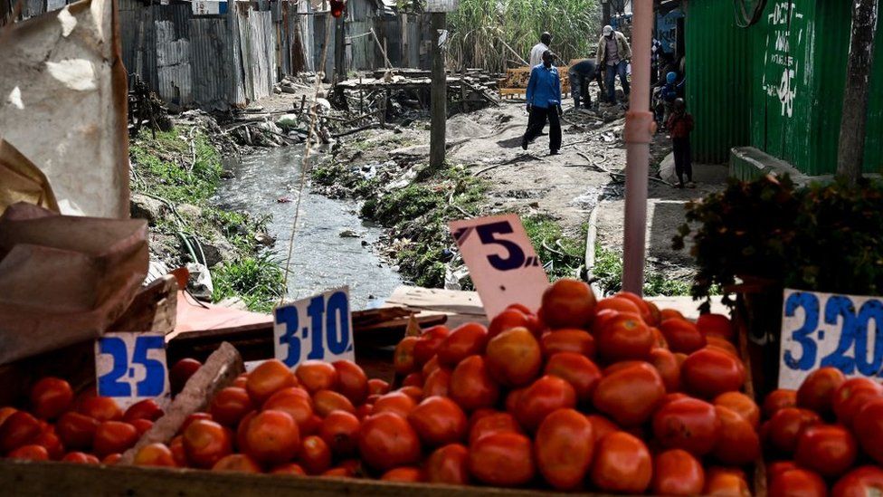 На снимке, сделанном 8 августа 2019 года, видны помидоры на прилавке рынка в трущобах Мукуру Ква Ндженга в Найроби