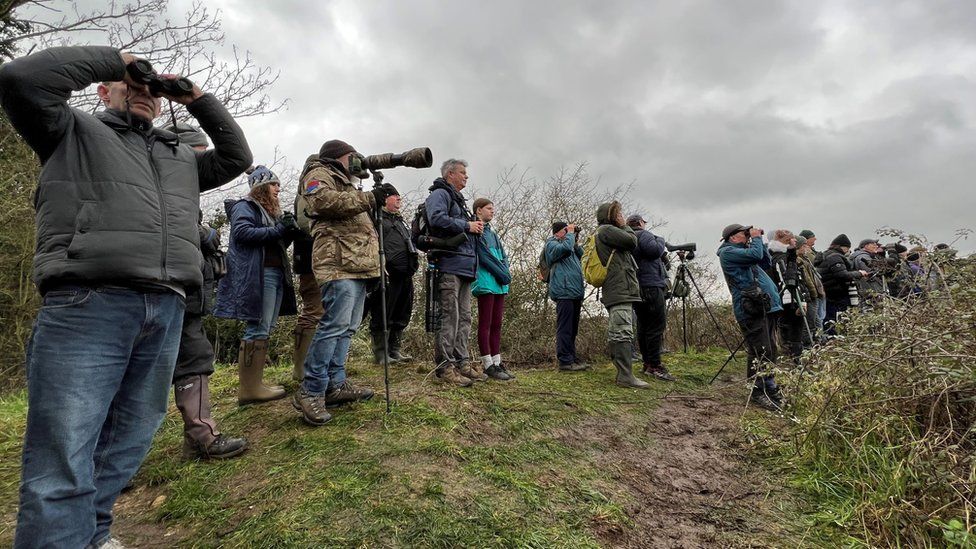 A group of birdwatchers standing on a hill looking through binoculars or cameras