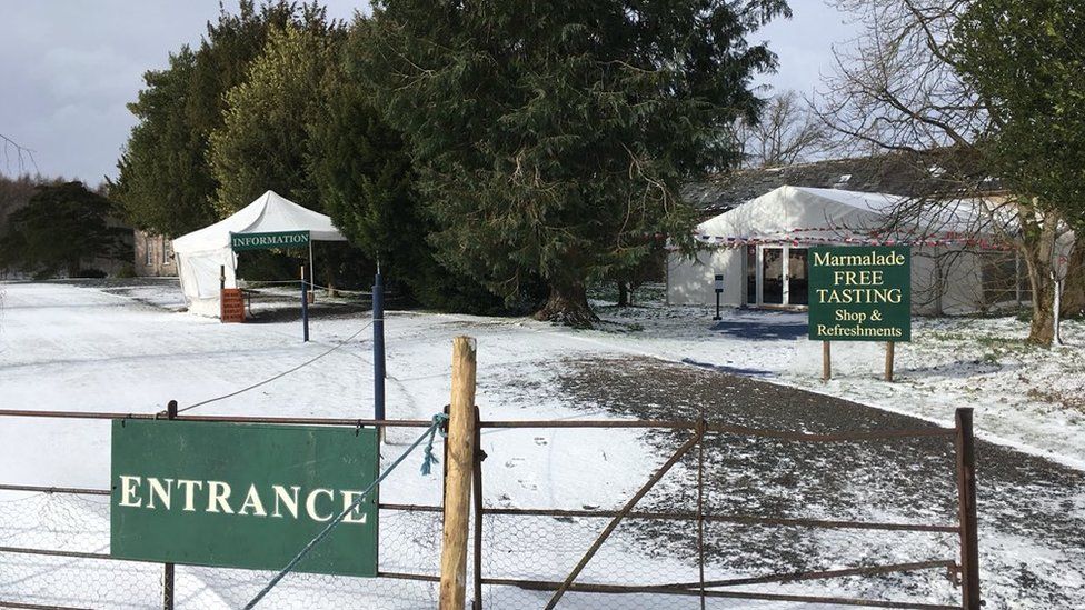 Penrith festival preserves marmalade tradition BBC News