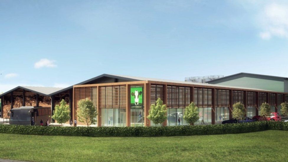 Anglesey cheese factory set to create 100 new jobs BBC News