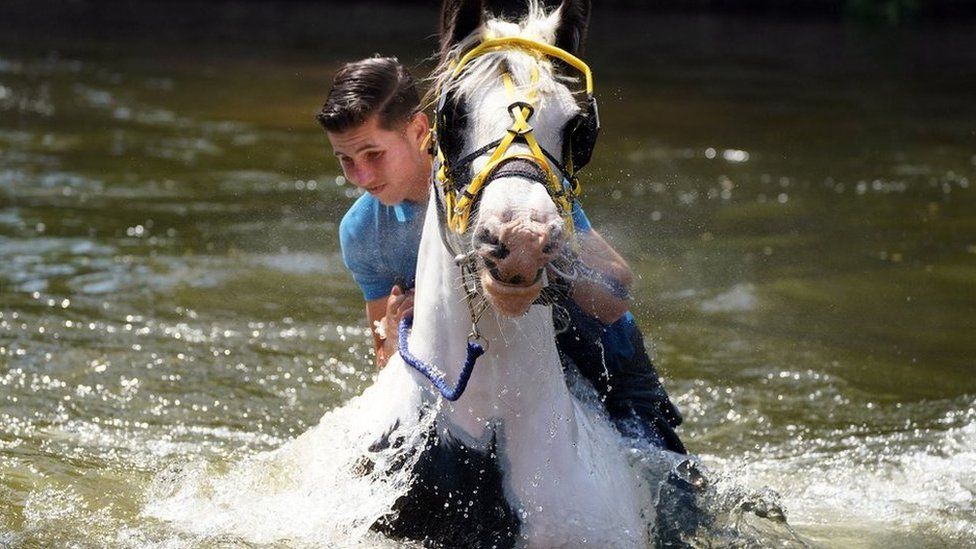 A traveller rides his horse through the river during the Appleby Horse Fair