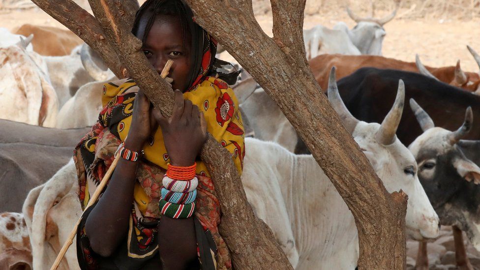 A Turkana woman with her cattle in Kenya, Tuesday 14 February 2017