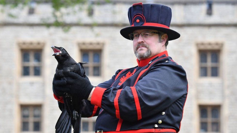 Chris Skaife Yeoman Warder Ravenmaster holds Branwen the raven