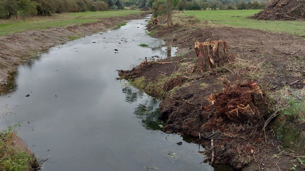 Damage to the banks of the River Swarbourn