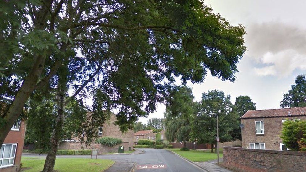 Man arrested after dog's head found at Chorley house BBC News