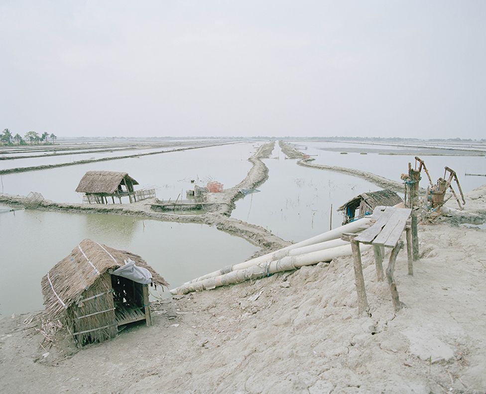 Paisagem rural, Bangladesh