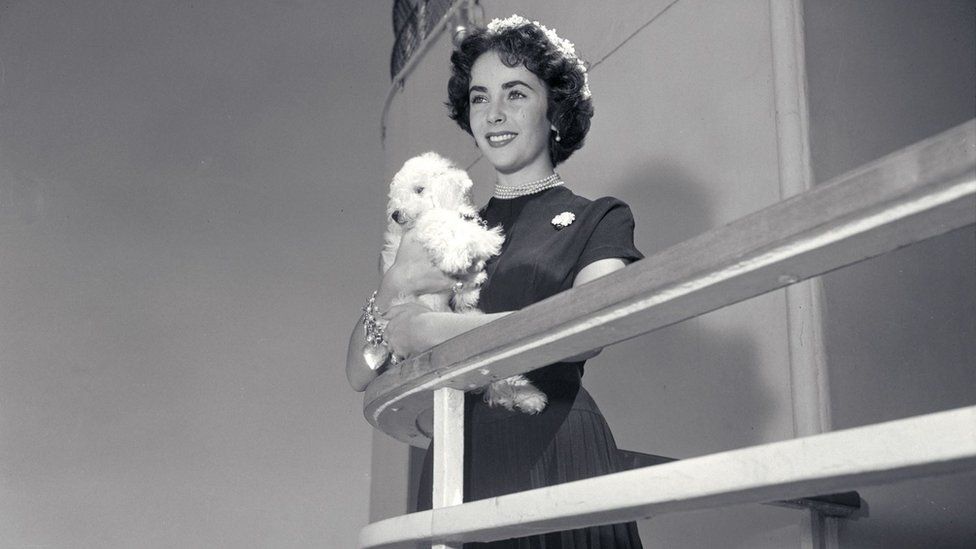 Elizabeth Taylor on board the Queen Mary