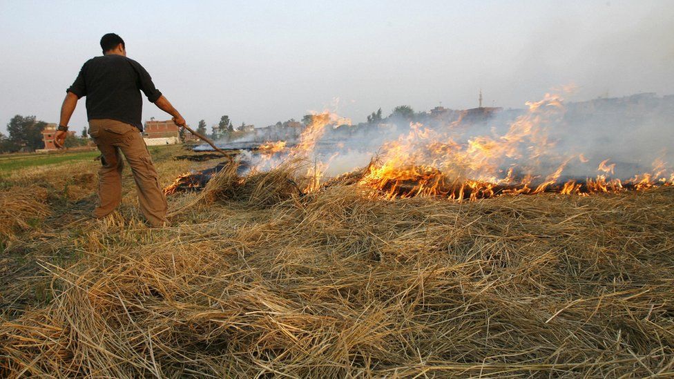 Air pollution New attempts to tackle Cairo’s black cloud BBC News