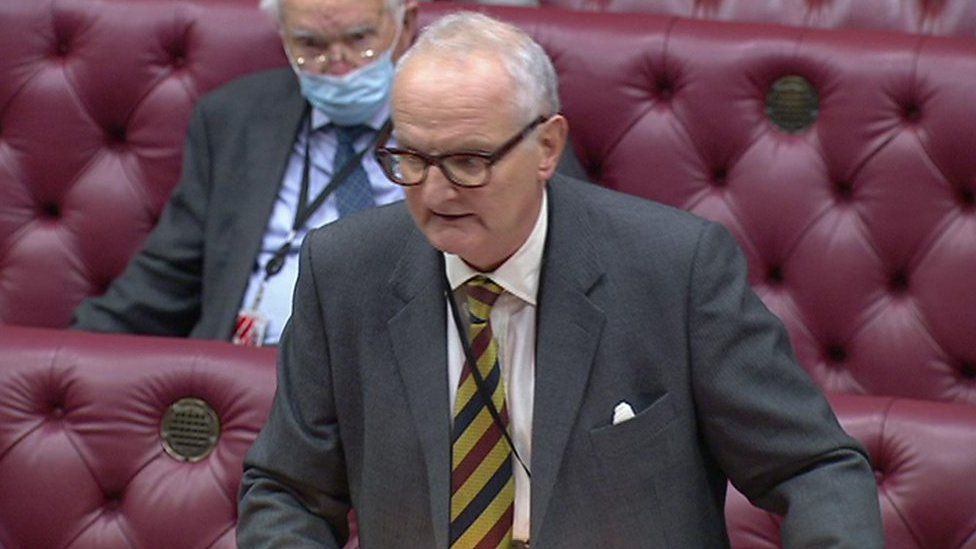 Lord Agnew in House of Lords