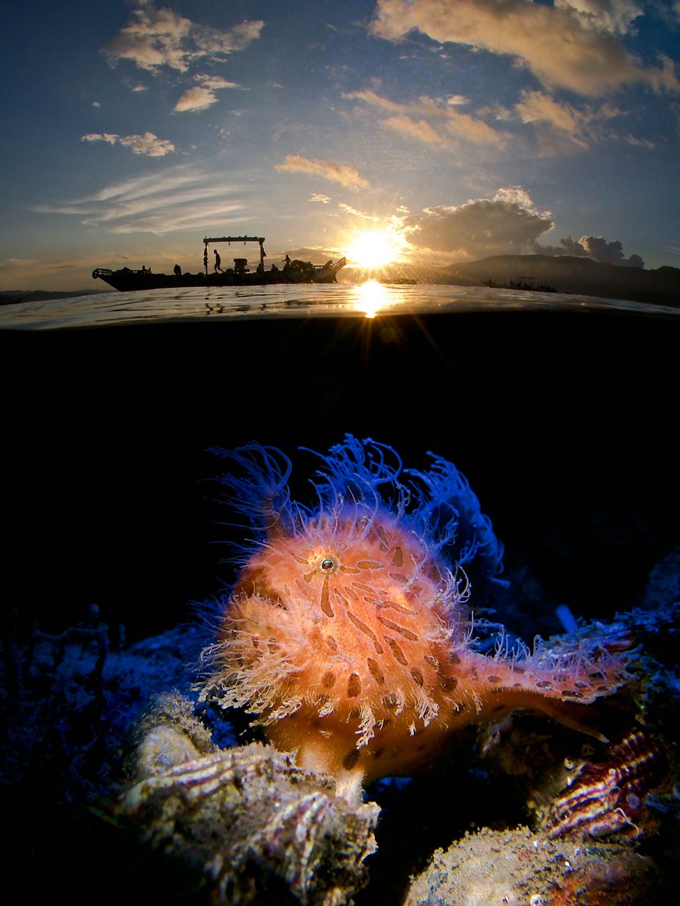 Fisherman at work and a Hairy Frogfish underwater