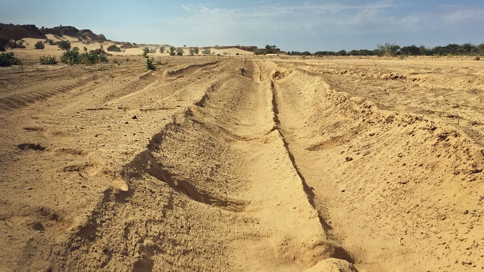 Desert scene near Agadez