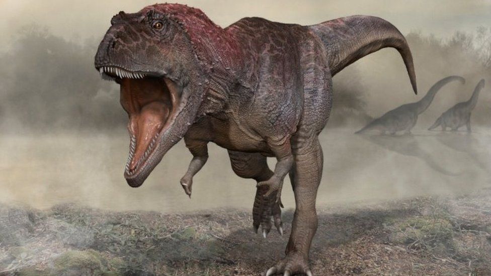 Dinosaur finding hints at why T-rex had small arms - BBC News