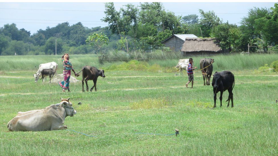 Village near the Kosi river