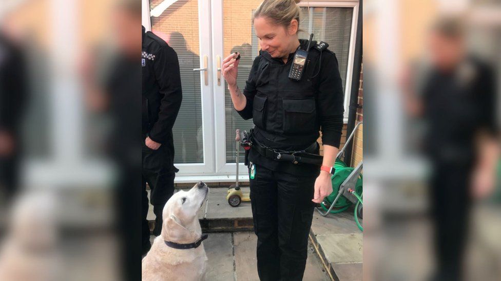 Police and dog