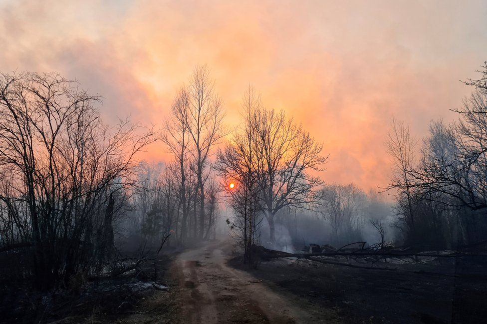 Smoke rises from a forest fire in the exclusion zone around the Chernobyl nuclear power plant, outside the village of Rahivka, Ukraine on 5 April 2020