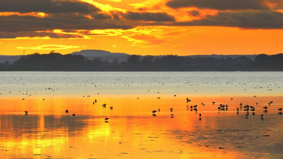 A sunset and birds on the water