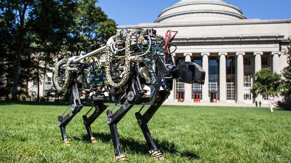 MIT cheetah-bot