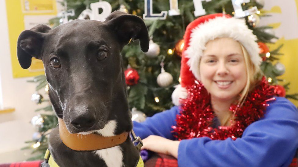 Domino, pictured with Coralie Lewis from the Dogs Trust training team, arrived at the centre in August 2022