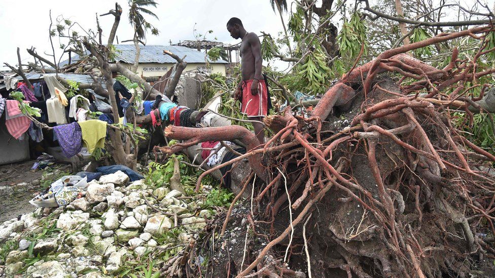 A man looks at his home crushed by a tree in Haiti after the hurricane