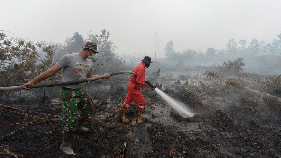 Indonesian firemen put out a fire on peatland in Rimbo Panjang, Riau province on 15 September 2015.