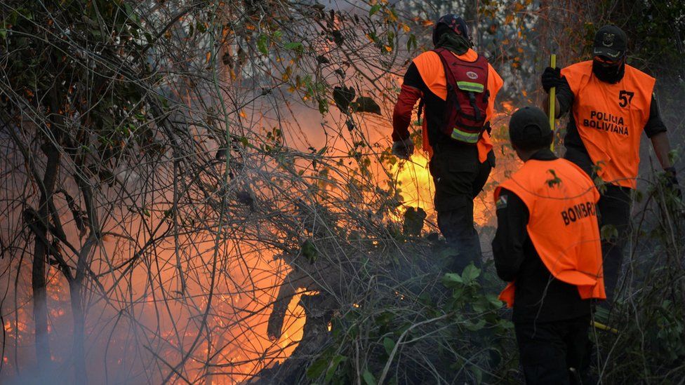 Firefighters tackle a blaze in a sugar field, on 22 November, as forest fires ravage the Bolivian Amazon