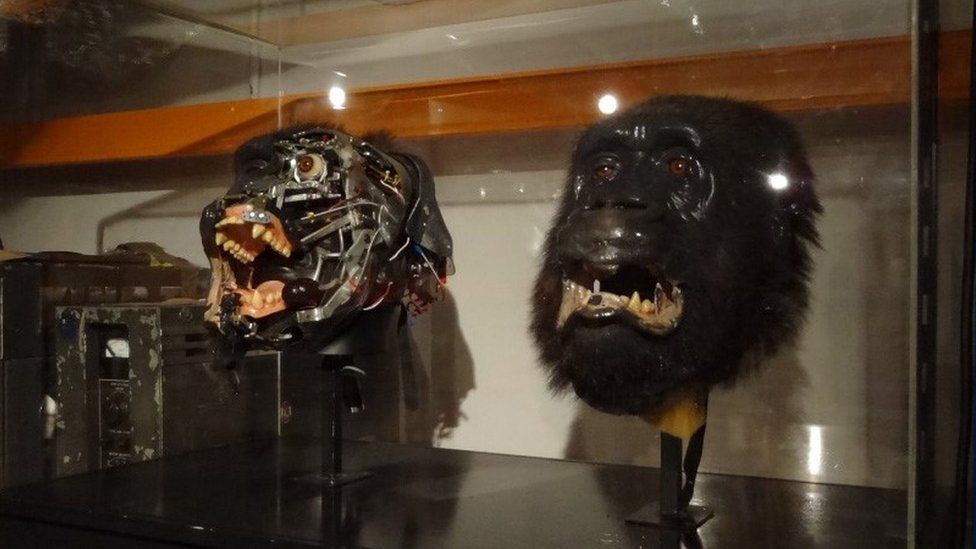 Animatronic gorilla heads
