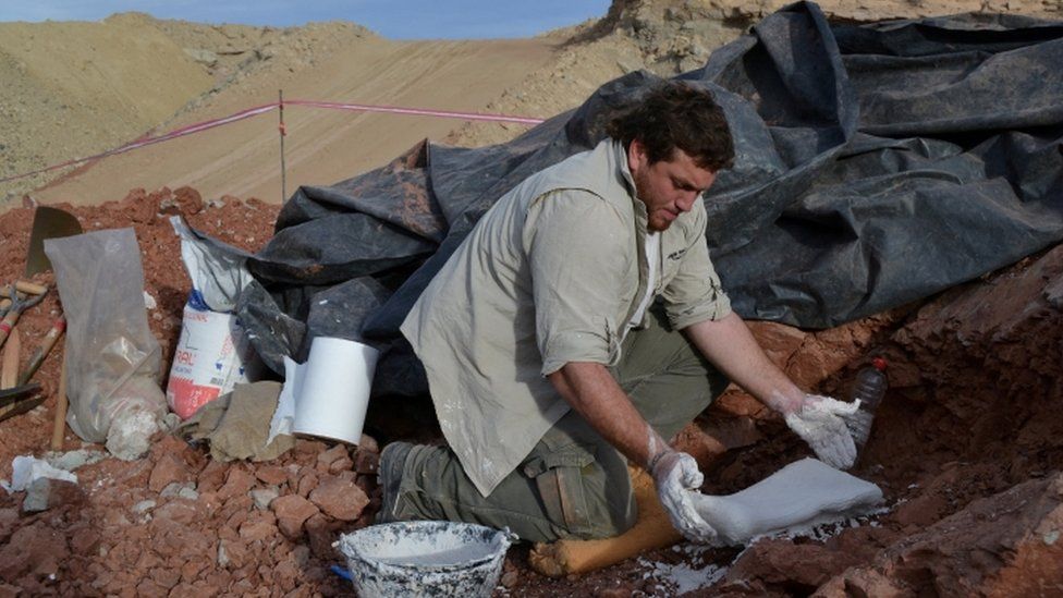 Image shows palaeontologist at a dig