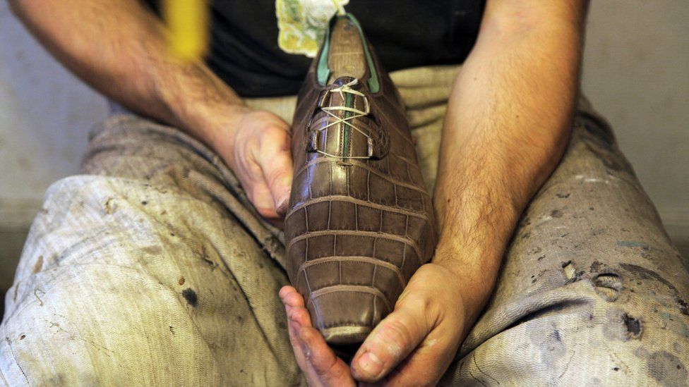 A crocodile skin shoe