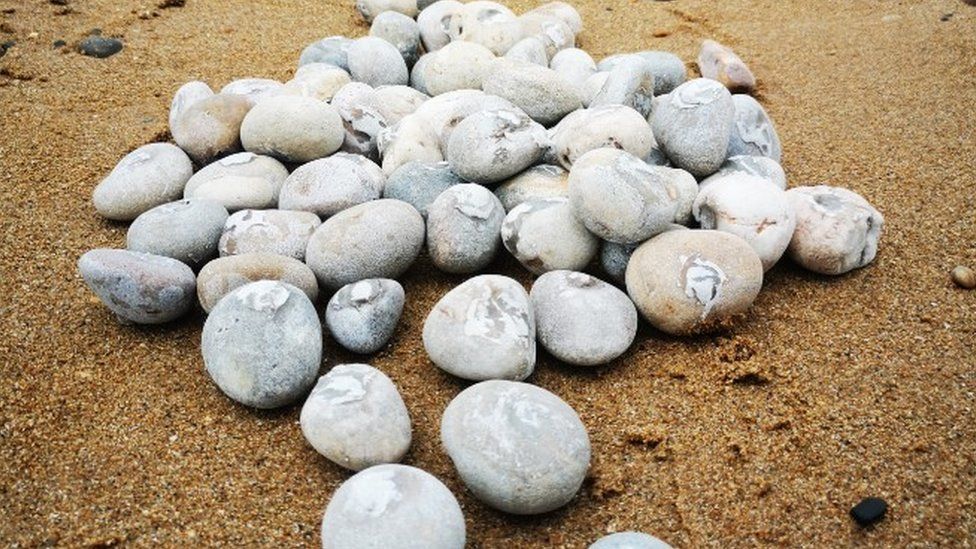 West Bay tracer pebbles