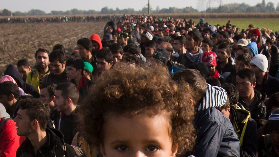A column of migrants moves through fields after crossing from Croatia, in Rigonce, Slovenia, Sunday, Oct. 25, 2015