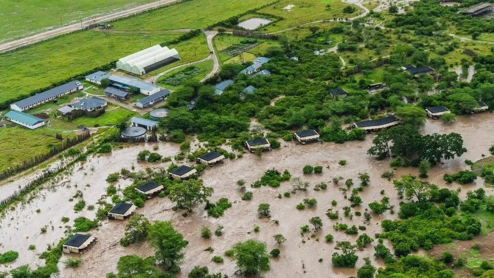 肯尼亚马赛马拉洪水困住游客