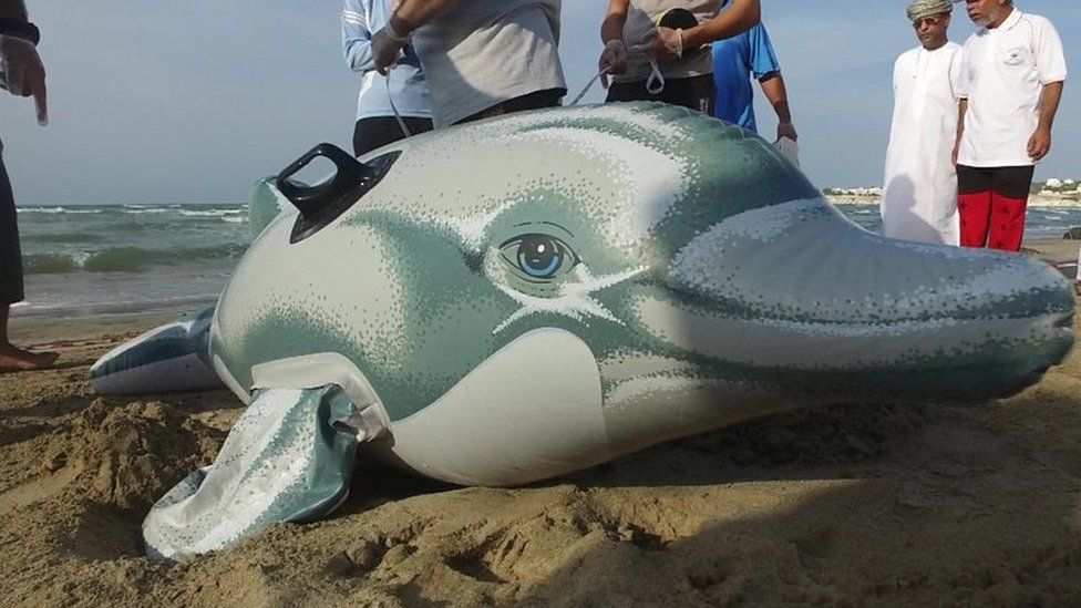 An inflatable dolphin being used in dolphin rescue training