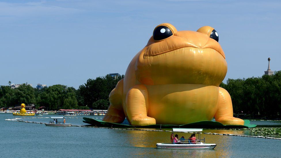 An inflatable 'big golden toad' by Chinese artist Guo Yongyao from Ningbo, displayed at Yu Yuan Tan Park in Beijing on July 21, 2014