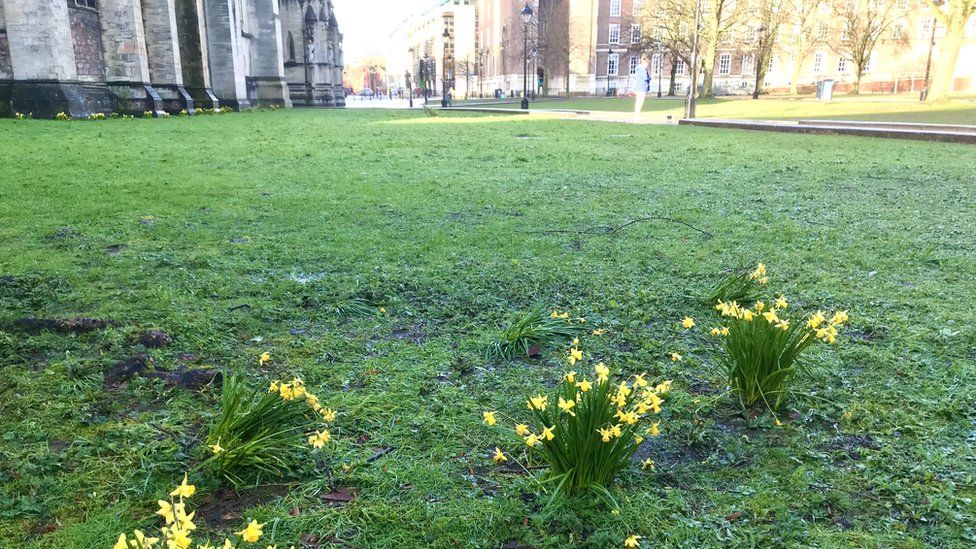 Green space with daffodils next to Bristol Cathedral