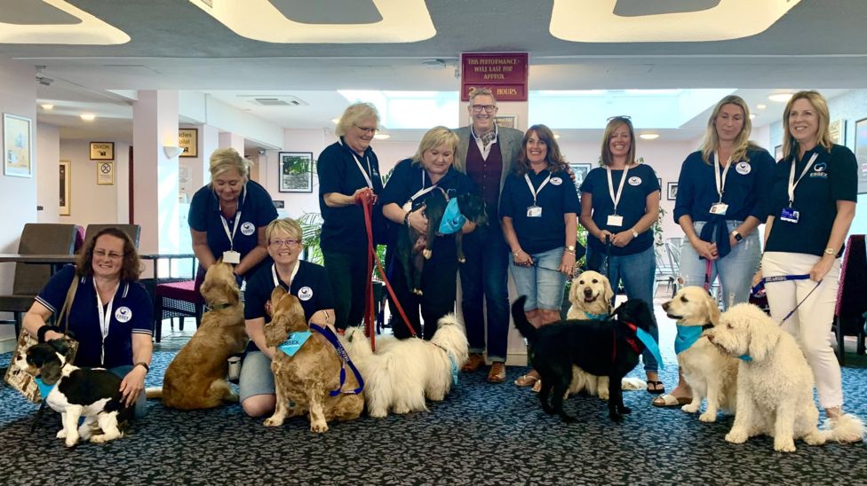 Essex Therapy Dogs wants to help children read in libraries BBC News
