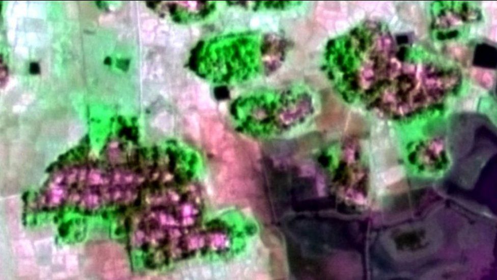 Satellite image showing clusters of structure in a village that appear to have been burnt down